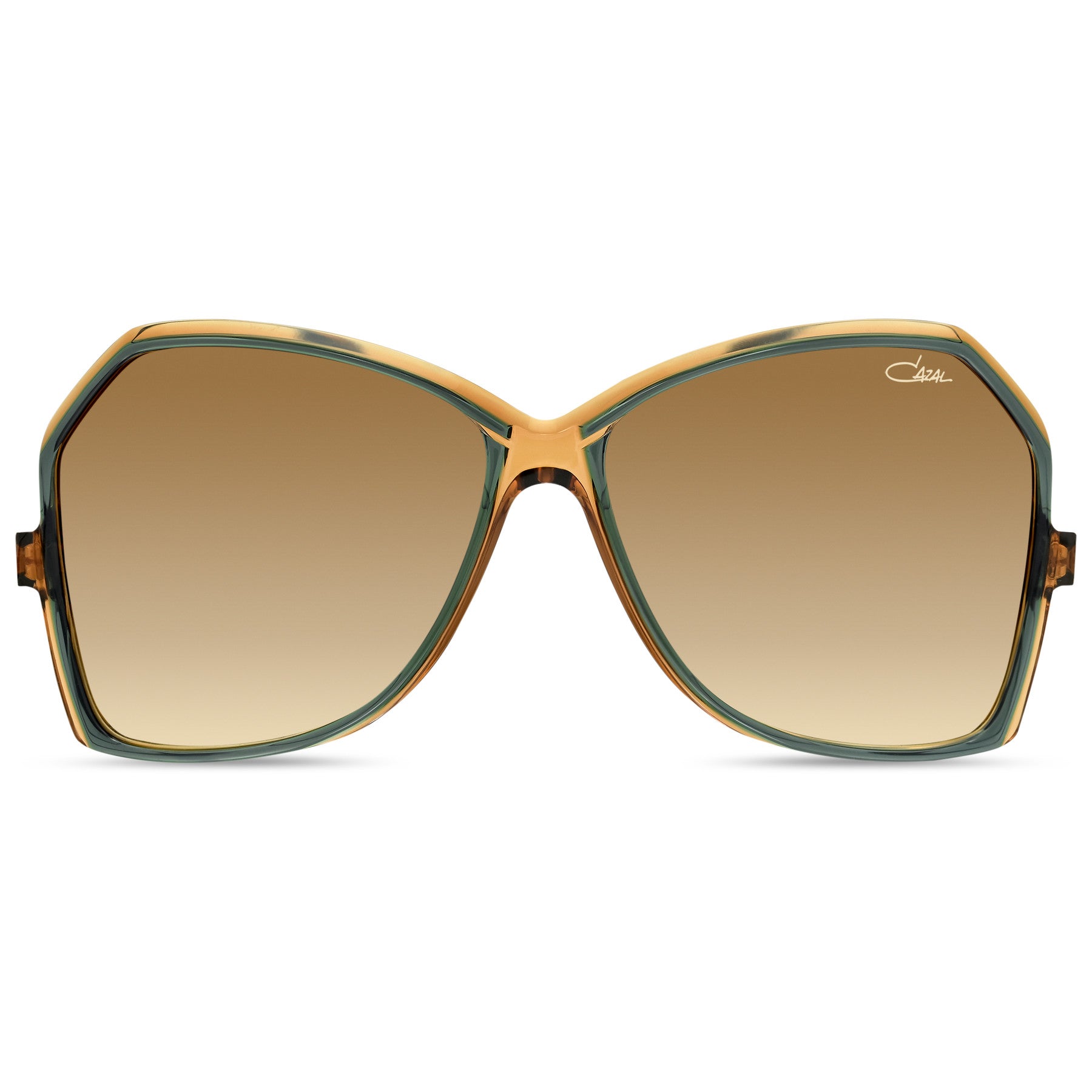 #color_003 dark green-caramel