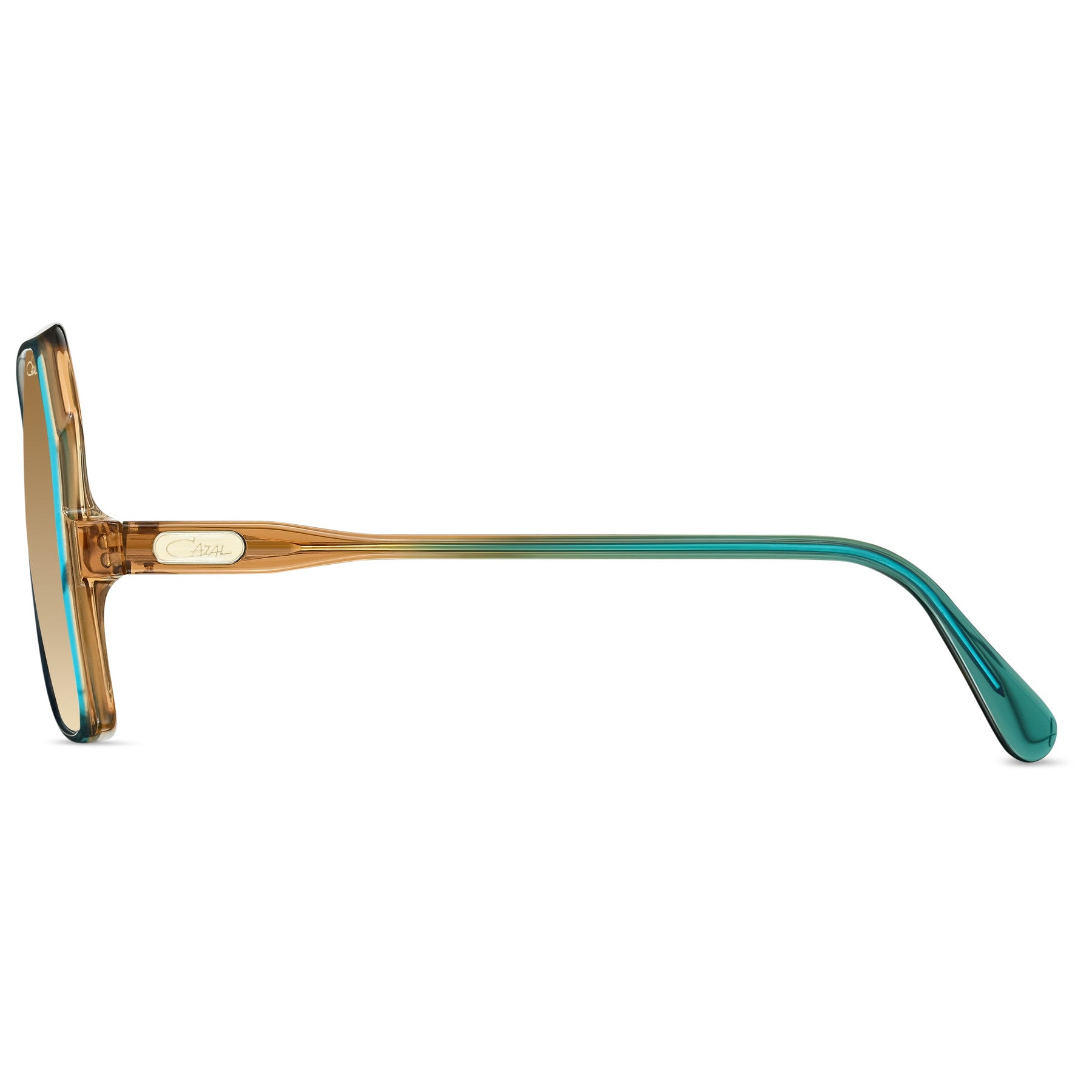 #color_003 dark green-caramel