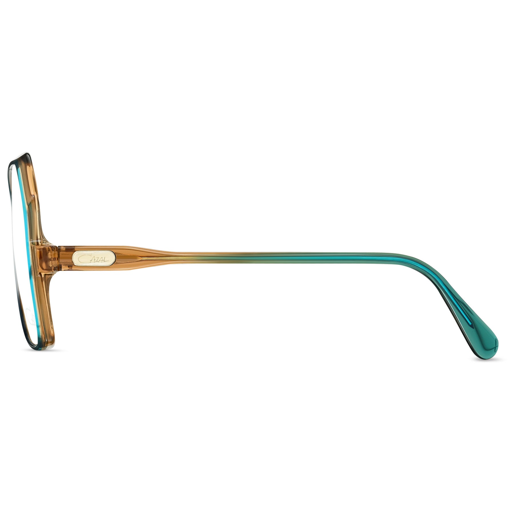 #color_003 dark green-caramel