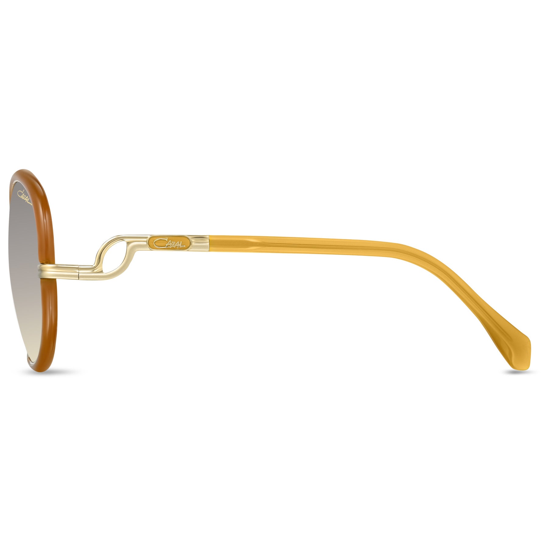 #color_003 amber-gold