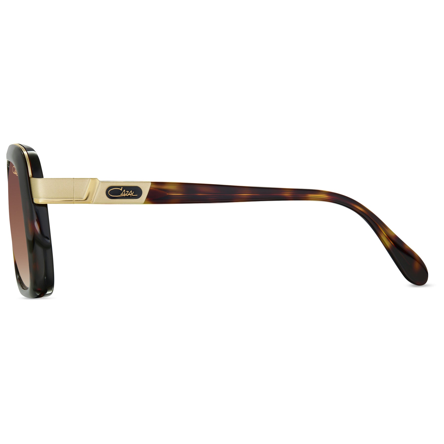 #color_005 havanna-gold