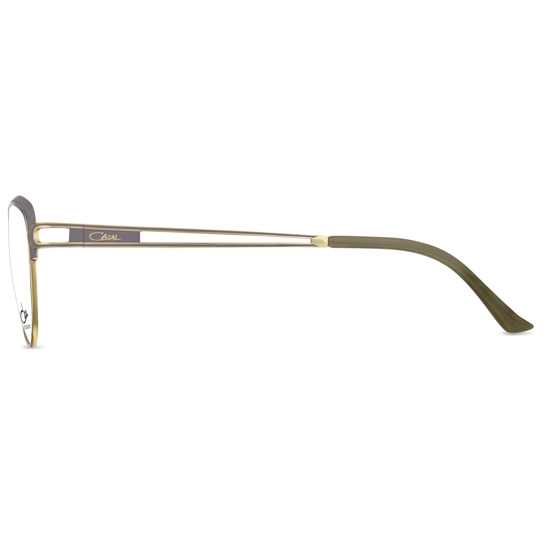 #color_004 flint grey-gold